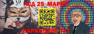 гидропоника Ставрополь
