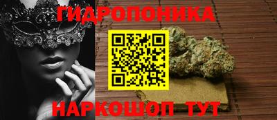 гашик Старая Купавна