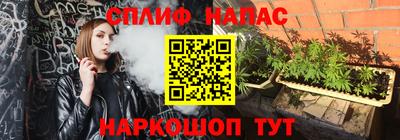 гашик Старая Купавна