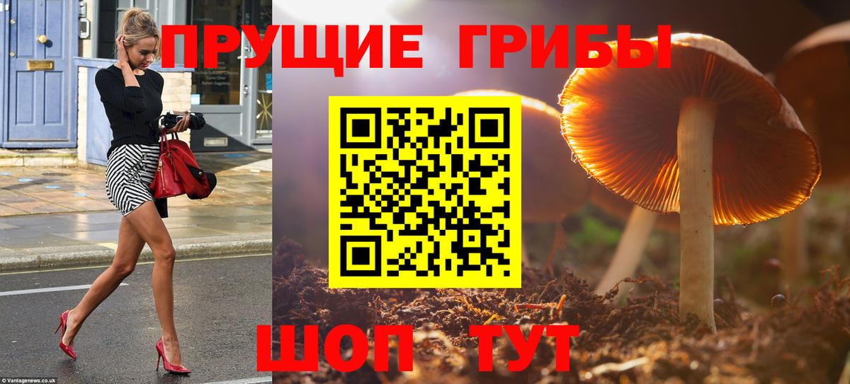 Псилоцибиновые грибы Psilocybine cubensis  Вход с VPN  Когалым 