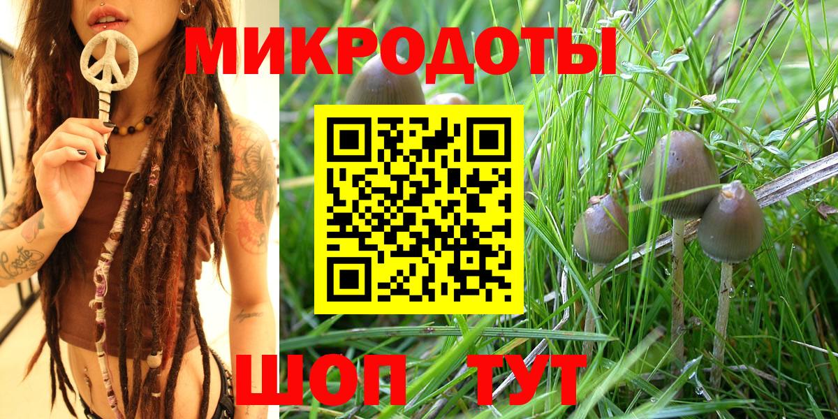 Галлюциногенные грибы мухоморы Когалым